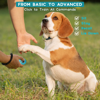 Dog Training Clicker with Sring Wrist and Keyring. Chosen for real quality, fits naturally into