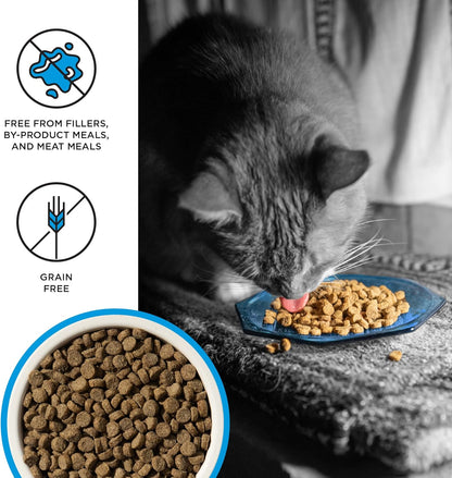 BIXBI Liberty Dry Food Salmon Recipe for Cats, 3lb