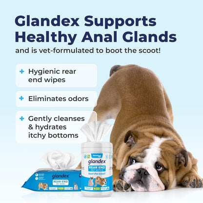 Vetnique Labs Glandex Dog Wipes for Pets Cleansing & Deodorizing Anal Gland Hygienic Dog & Cat Wipes with Vitamin E, Skin Conditioners and Aloe (75ct)