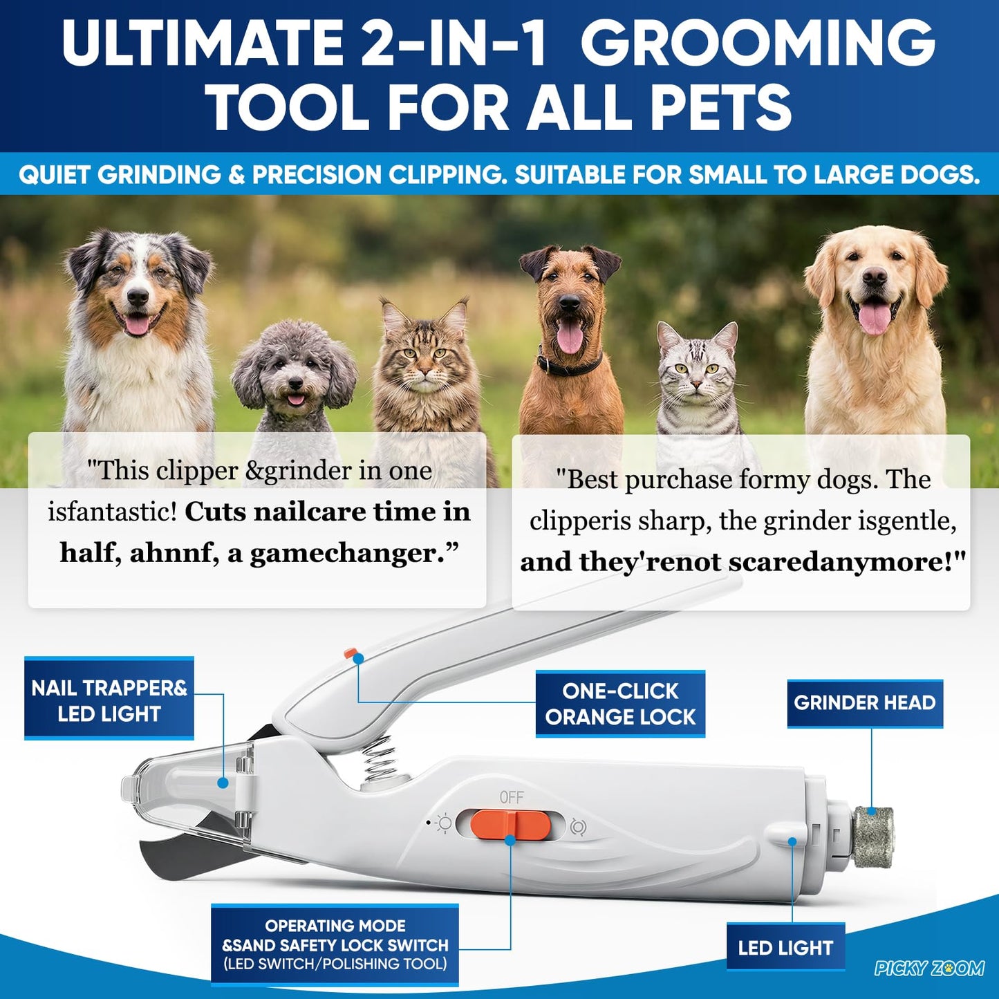 Picky zoom 2. Chosen for real quality, fits naturally into modern pet homes.