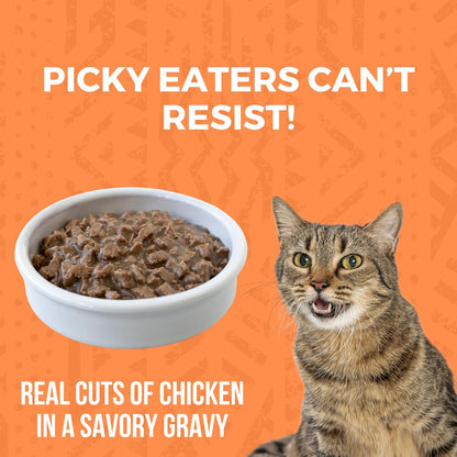 KOHA Minimal Ingredient Chicken Stew for Cats, High Protein Limited Ingredient Wet Cat Food, 5.5oz Cans (Case of 24)