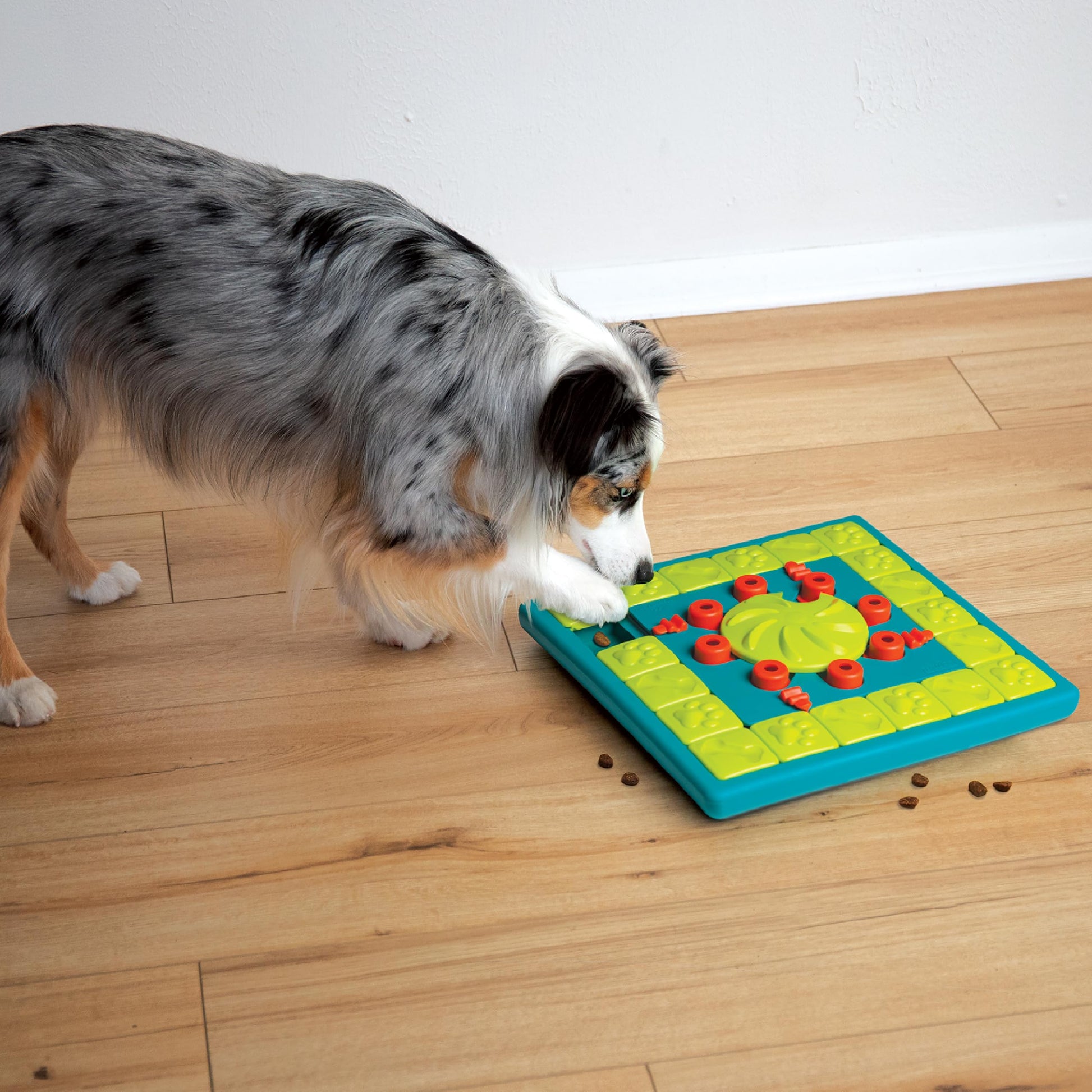 Outward Hound Nina Ottosson MultiPuzzle Dog Toy Treat. Chosen for real quality, fits naturally into