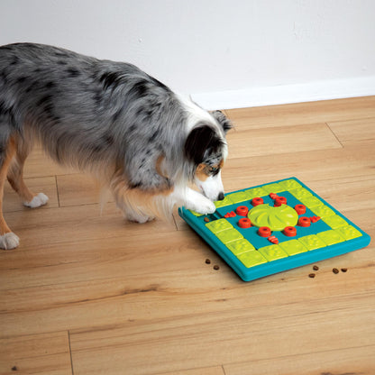 Outward Hound Nina Ottosson MultiPuzzle Dog Toy Treat. Chosen for real quality, fits naturally into