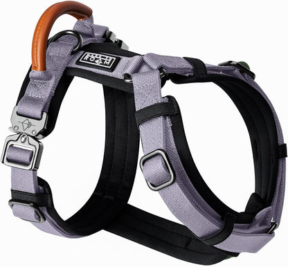 MADE TO ROAM Premium Explorer Harness - Y-Shaped Dog Harness with Adjustable Durable Nylon, Soft Padding, Metal Buckles and Leather Handle for Small, Medium, Large Dogs (Montana Moonrise, Size 3)
