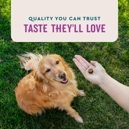 VetIQ Calming Support Chews for Dogs. Chosen for real quality, fits naturally into modern pet homes.