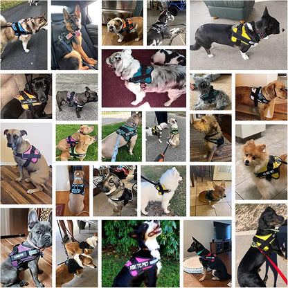 Bolux Dog Harness, No-Pull Reflective Dog Vest, Breathable Adjustable Pet Harness with Handle for Outdoor Walking - No More Pulling, Tugging or Choking Large (Pack of 1) RoseTurquoise