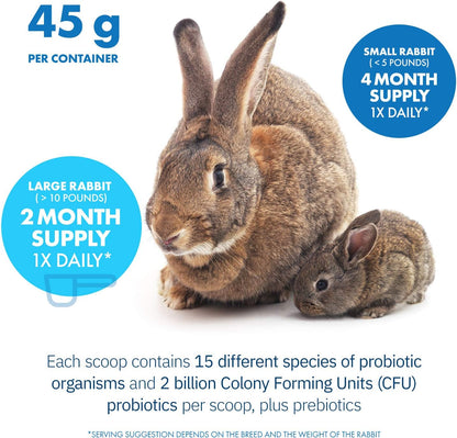 HealthyGut Probiotics for Rabbits Dietary Supplement, All-Natural Digestive System Formula (120 Servings)