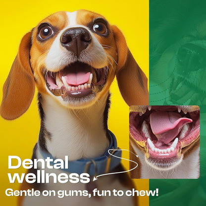 Dog Toys for Aggressive Chewers - Heavy Duty Chew Proof Durable Toy for Large Breed Dogs, Interactive Tough Nylon Bone for Boredom Relief & Mental Stimulation