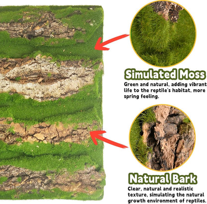 kathson 4PCS Cork Bark for Reptiles 11.8 "L X 11.8" W Cork Terrarium Background Bearded Dragon Tank Background with Artificial Moss Natural Reptile Climbing Mat for Spider Gecko Lizard Chameleon