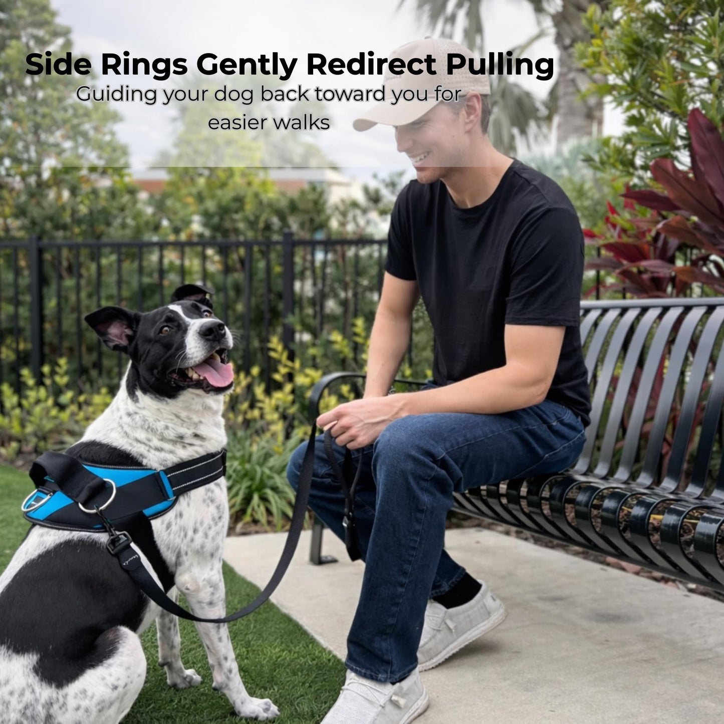 ShawnCo Essential Dog Harness. Chosen for real quality, fits naturally into modern pet homes.