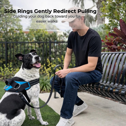 ShawnCo Essential Dog Harness. Chosen for real quality, fits naturally into modern pet homes.