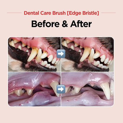 JAYU PET Dental Care Brush (Edge Bristles) 3ea - Micro Round Head Dog Toothbrush, Cat Toothbrush, Dental Care, Perfect for Kitten & Small Breed with End-tuft Diagonal-Shaped Bristle & Easy Grip Handle