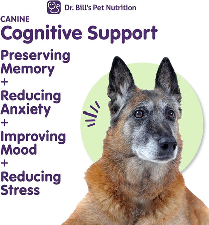 Dr. Bill’s Canine Cognitive Support | Memory Support Supplement Multivitamin for Dogs | Contains Gingko Biloba, L-Carnosine, Vitamin B-12, L-Glutamine, L-Tyrosine, and DHA for Adult and Senior Dog