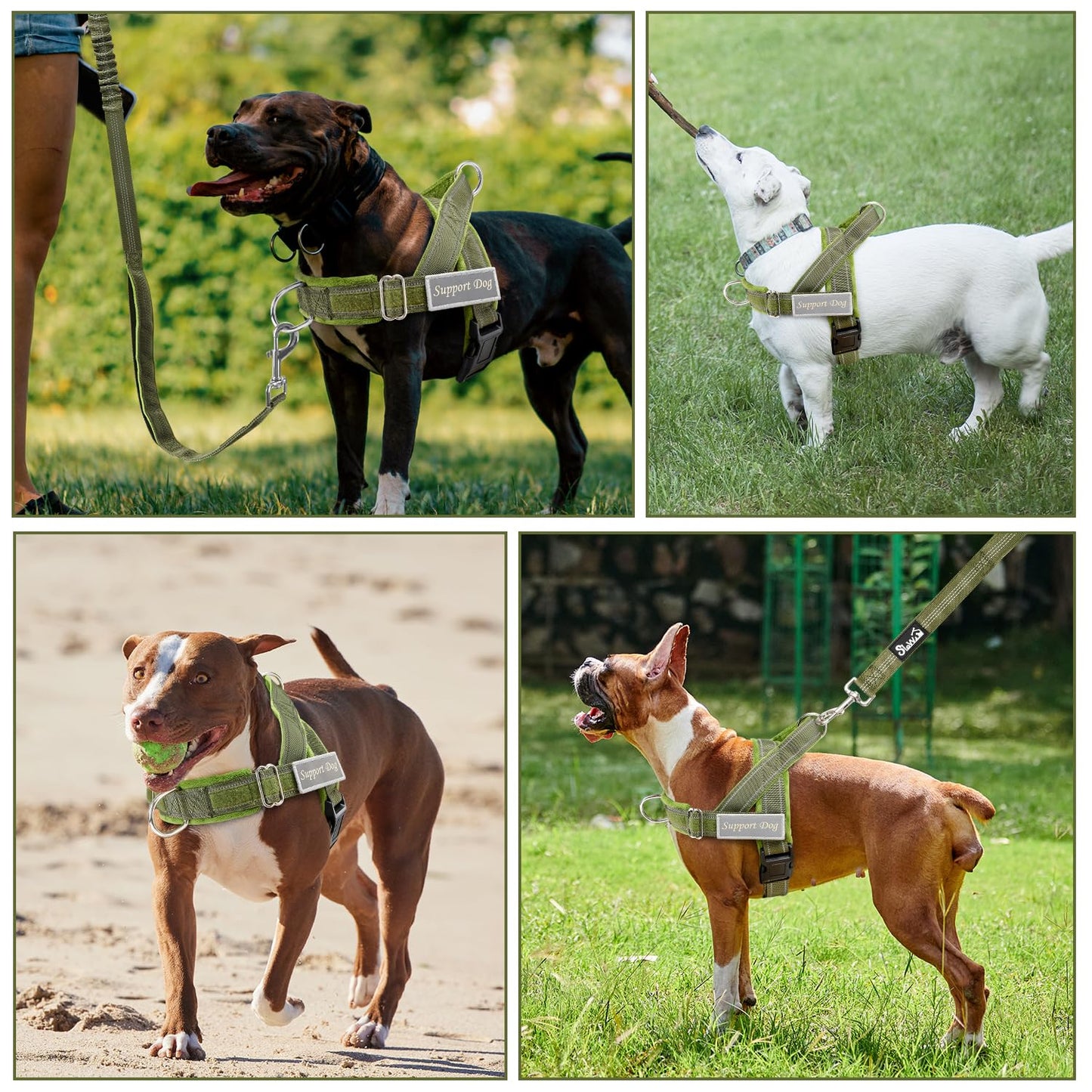 SlowTon No Pull Dog Harness with Front Clip. Chosen for real quality, fits naturally into modern