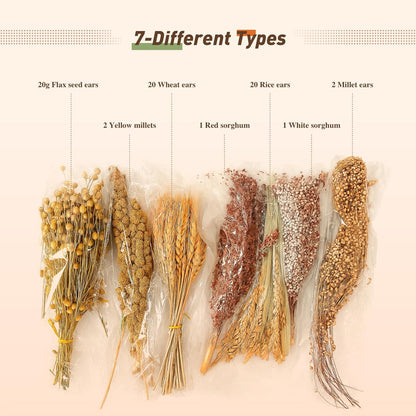 ZIPPYPET Hamster Sprays and Forage Accessories for Cages, Pet Mouse Decor Textures (7)