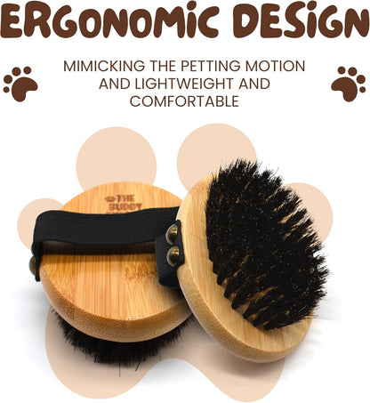The Buddy System Pet Close Brush, Soft Touch Oval Palm Brush - Bamboo Massage Handheld with Soft Boar Bristles and Elastic Band for Dogs and Cats