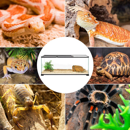 REPTI ZOO 20 Gallon Reptile Glass Terrarium Easy Clean Tank 30" x 12" x 12" Dual Top Sliding Top Cover for Reptile Snake Hamster Hedgehog Small Animals (Knock-Down)