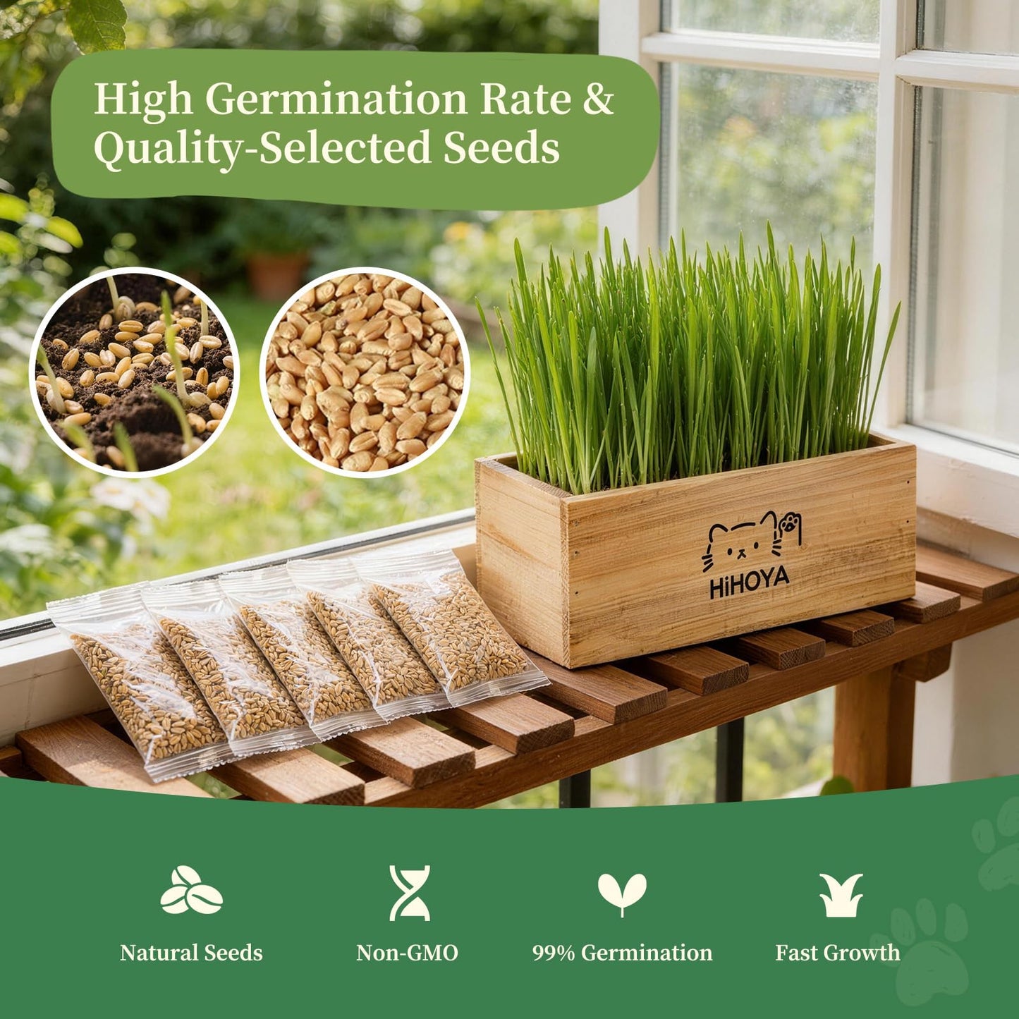 HiHOYA Cat Grass Kit for Indoor Cats. Chosen for real quality, fits naturally into modern pet homes.