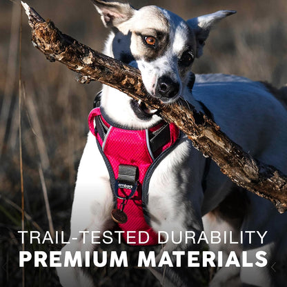 Embark Adventure Dog Harness, Reflective Trim No Pull Dog Harnesses for Small Sized Dogs - Military Grade Nylon, Front Clip with Gel Lined Handle.