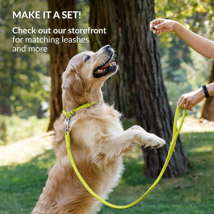 CollarDirect Rolled Leather Dog Collar, Soft Padded Round Puppy Collar, Handmade Genuine Leather Collar Dog Small Large Cat Collars 13 Colors (15-19 Inch, Lime Green Smooth)