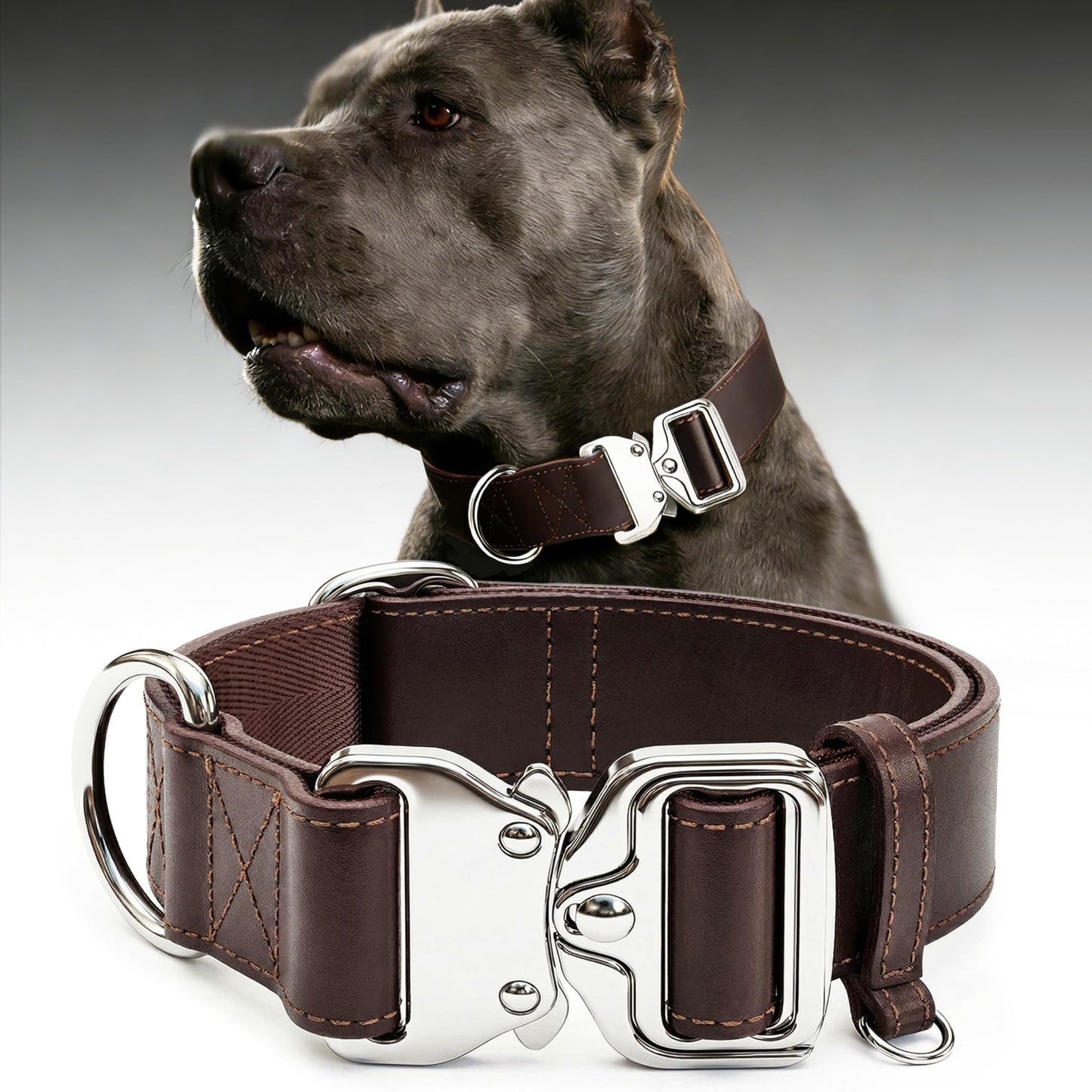 Leather Dog Collar 1.5in Wide，Quick. Chosen for real quality, fits naturally into modern pet homes.
