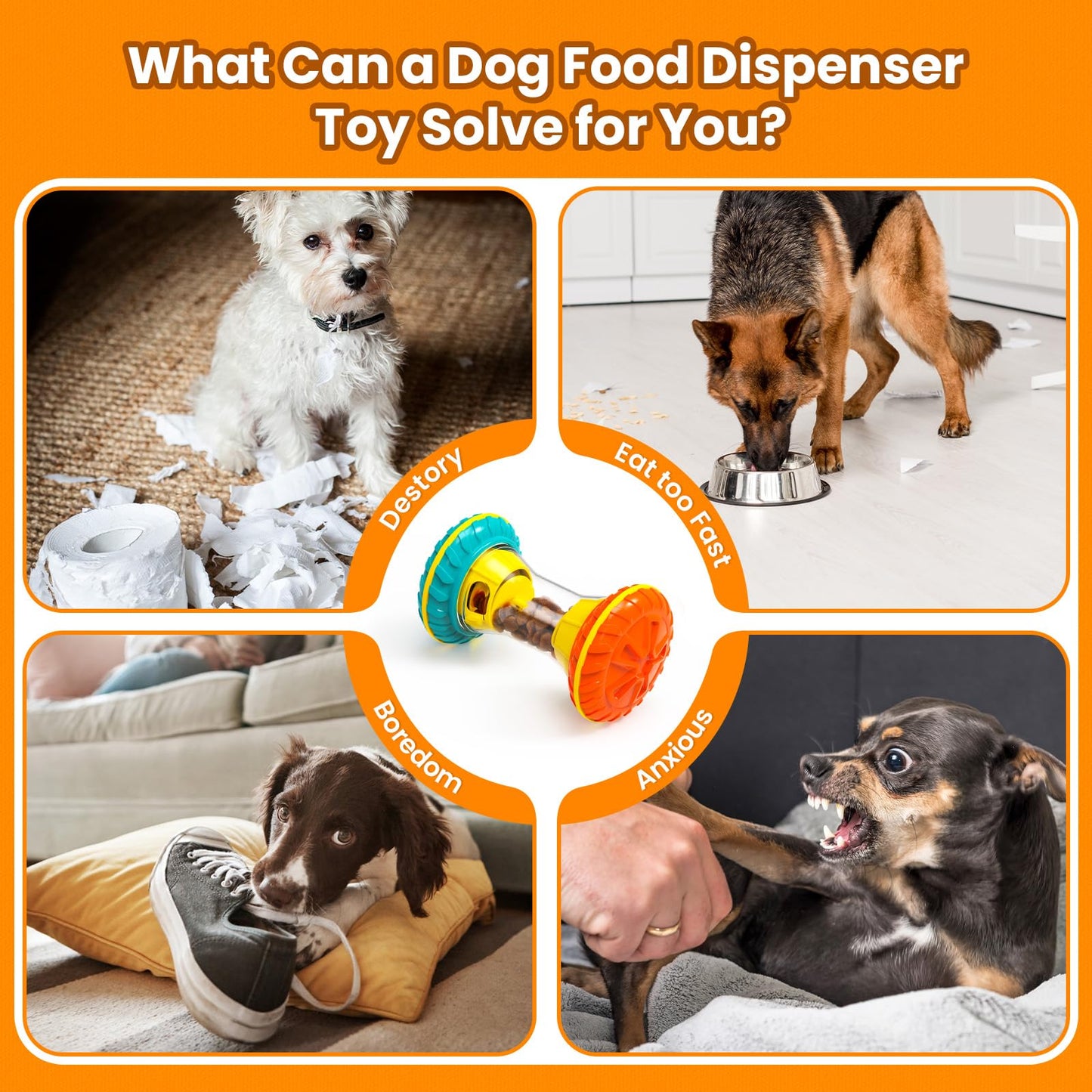 BoYoYo Interactive Dog Toys. Chosen for real quality, fits naturally into modern pet homes.