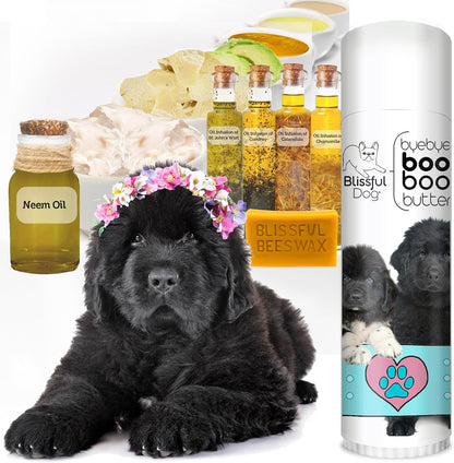 The Blissful Dog .50 oz Tube Newfoundland Booboo Butter