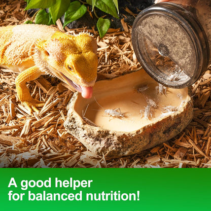 Cricket Calcium Powder Mixer, Reptile Cricket Keeper, Reptile Calcium Duster for Bearded Dragon Gecko Lizard Snake Chameleon