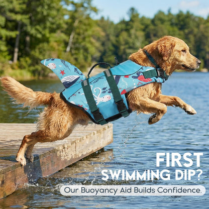 ASENKU Dog Life Jacket. Chosen for real quality, fits naturally into modern pet homes.