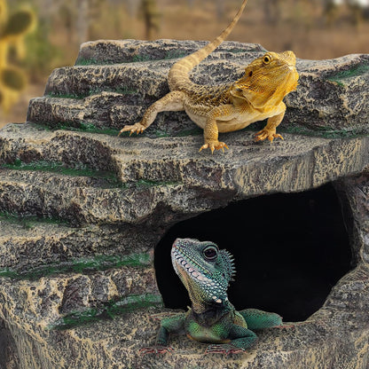 Beared Dragon Tank Accessories for Adults, Snake Hide, Reptile Tank Accessories, Perfect Natural Large Reptile Hide, Professional Turtle Basking Platform (E-Large)