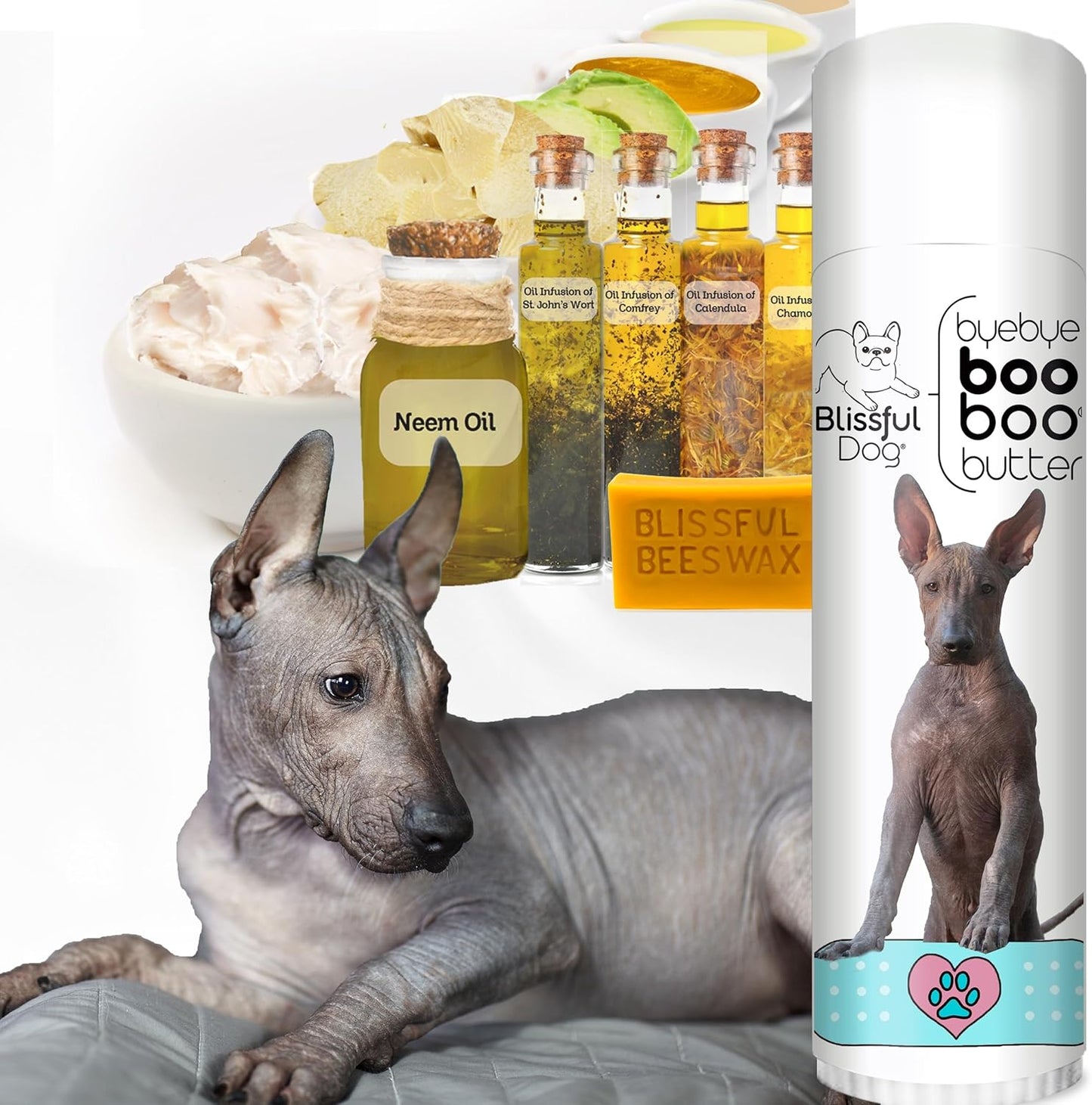 The Blissful Dog Xoloitzcuintli Boo Butter, 0.50 oz