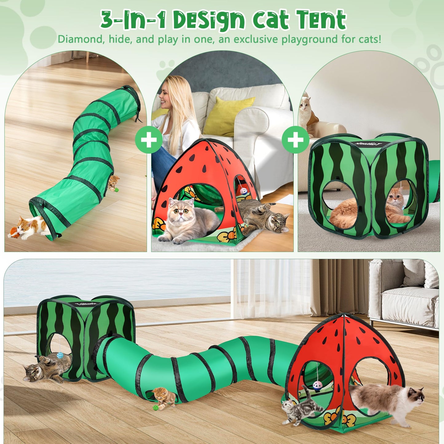 Tailtastic 3. Chosen for real quality, fits naturally into modern pet homes.