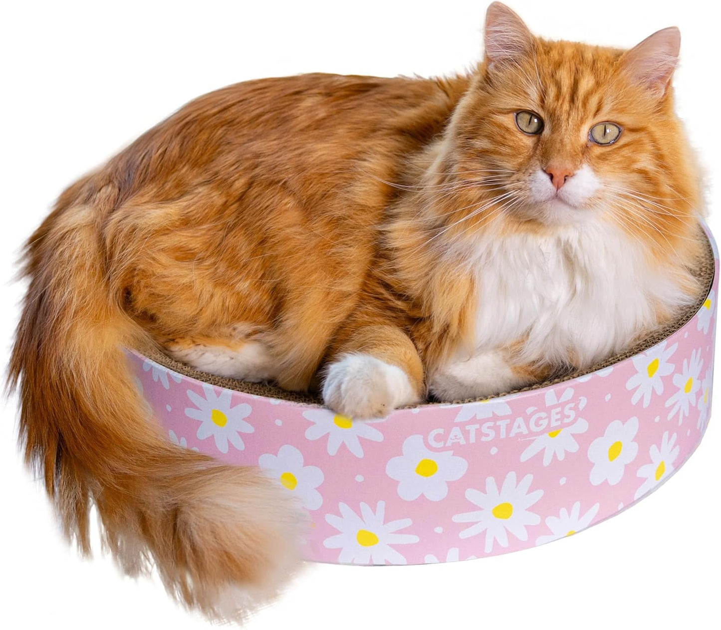 Catstages Scratch & Snuggle Daisy Two-in-One Corrugated Cat Scratcher and Lounging Spot, Floral Design, Pink