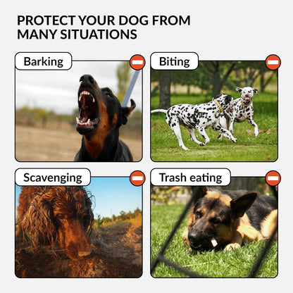 CollarDirect Dog Muzzle German Shepherd Dalmatian Doberman Setter Leather Basket Medium Large Breeds (Chestnut Brown, Medium)