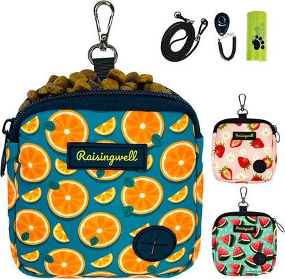 Dog Treat Pouch for Pet Walking and Training with Clicker Poop Bags Small Fanny Zipper Pack Holder for Puppy Snack Dispenser Kit for Leash and Outdoor Use (Fruit Orange)