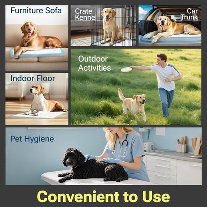 Charcoal Puppy Pads Extra Large, Disposable Pee Pads for Dogs / Wee Wee Pads / Potty Training Pads, Underpads with Activated Carbon to Eliminate Odor, 28"x34" 50 Count