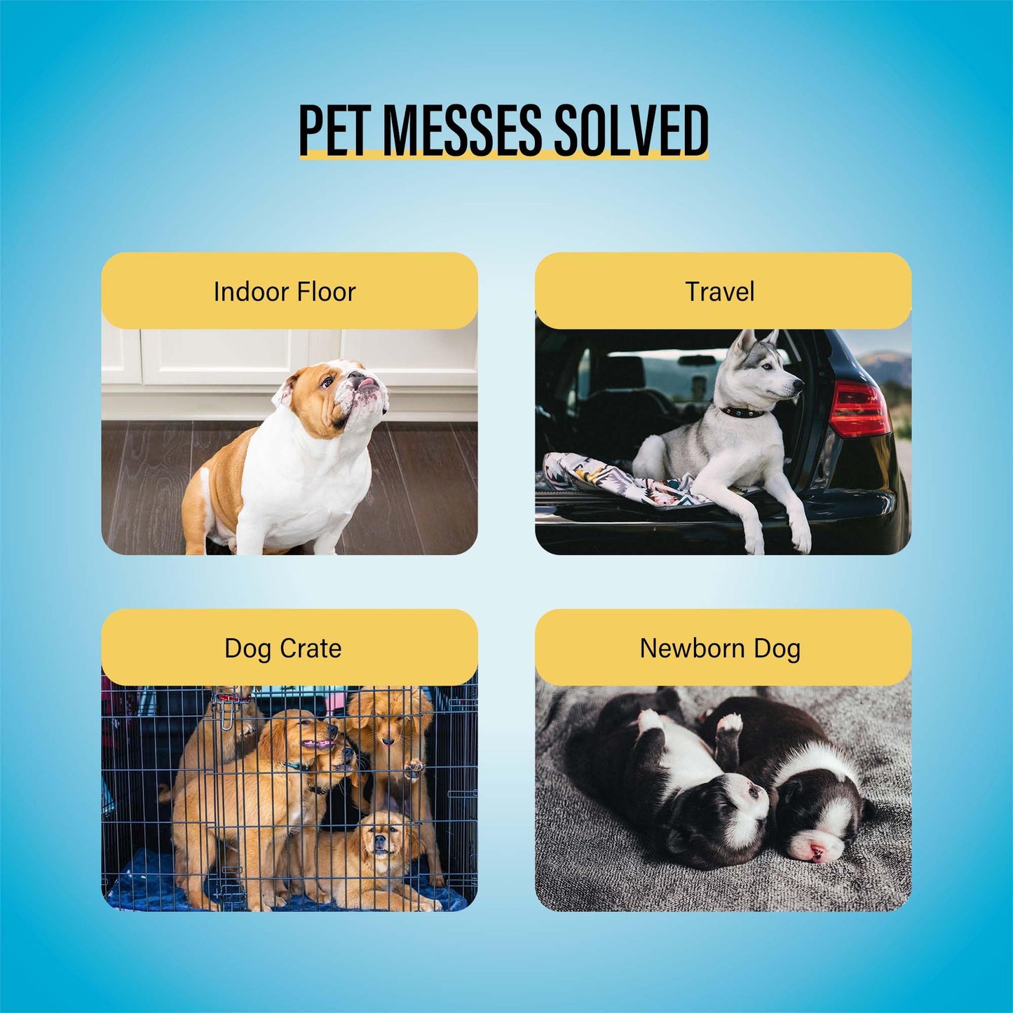 COCOYO Best Value Training Pads 30 Count | Dog Pee. Chosen for real quality, fits naturally into