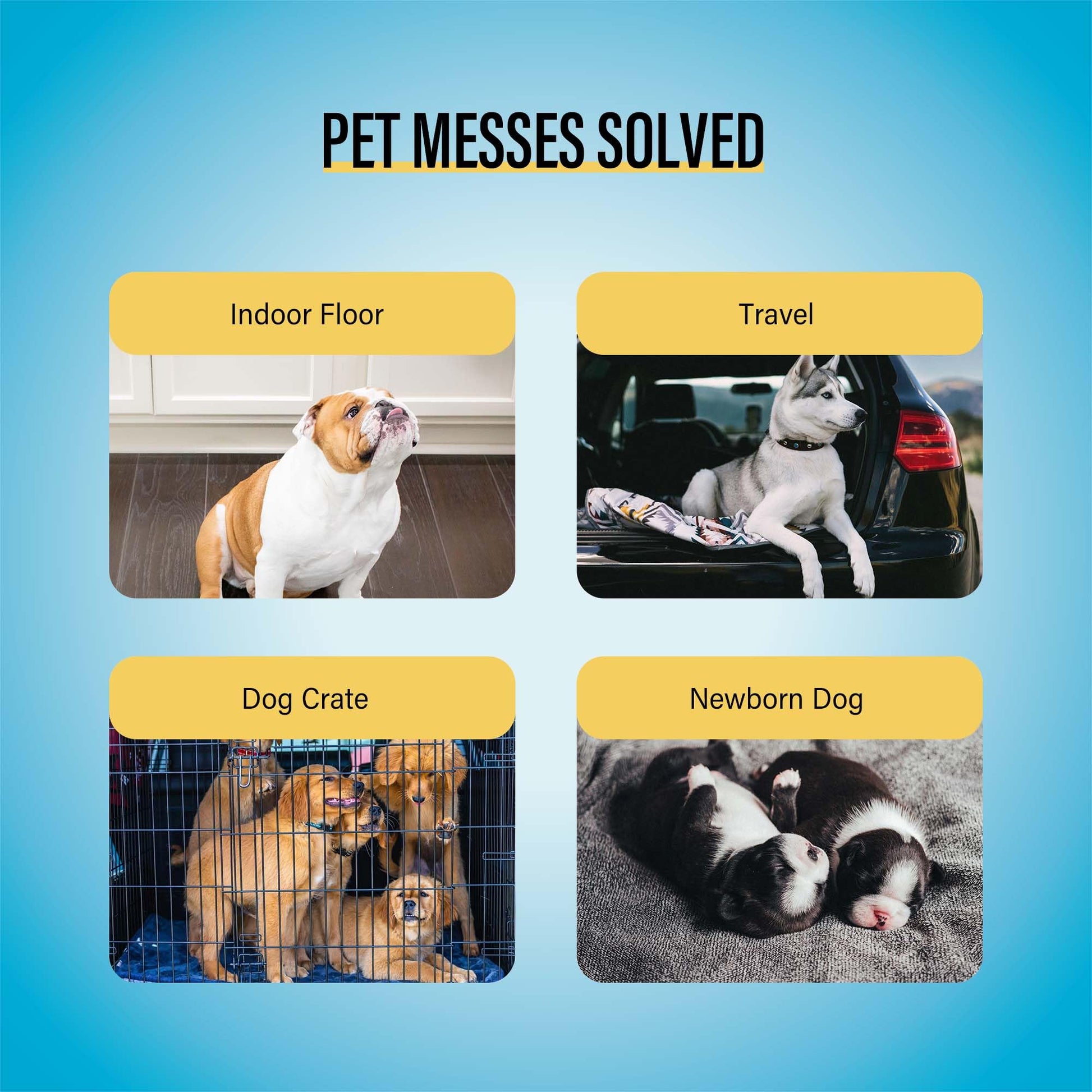COCOYO Best Value Training Pads 30 Count | Dog Pee. Chosen for real quality, fits naturally into