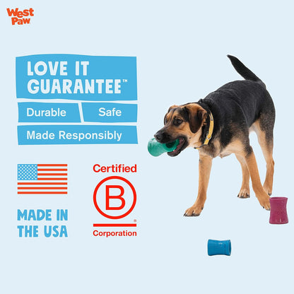 WEST PAW Funnl Dog Chew Toy - Interactive Treat Toys for Dogs - Toy Fillable with Earth Animal No-Hide Chews - Large 4.25" Kelp | Made in USA