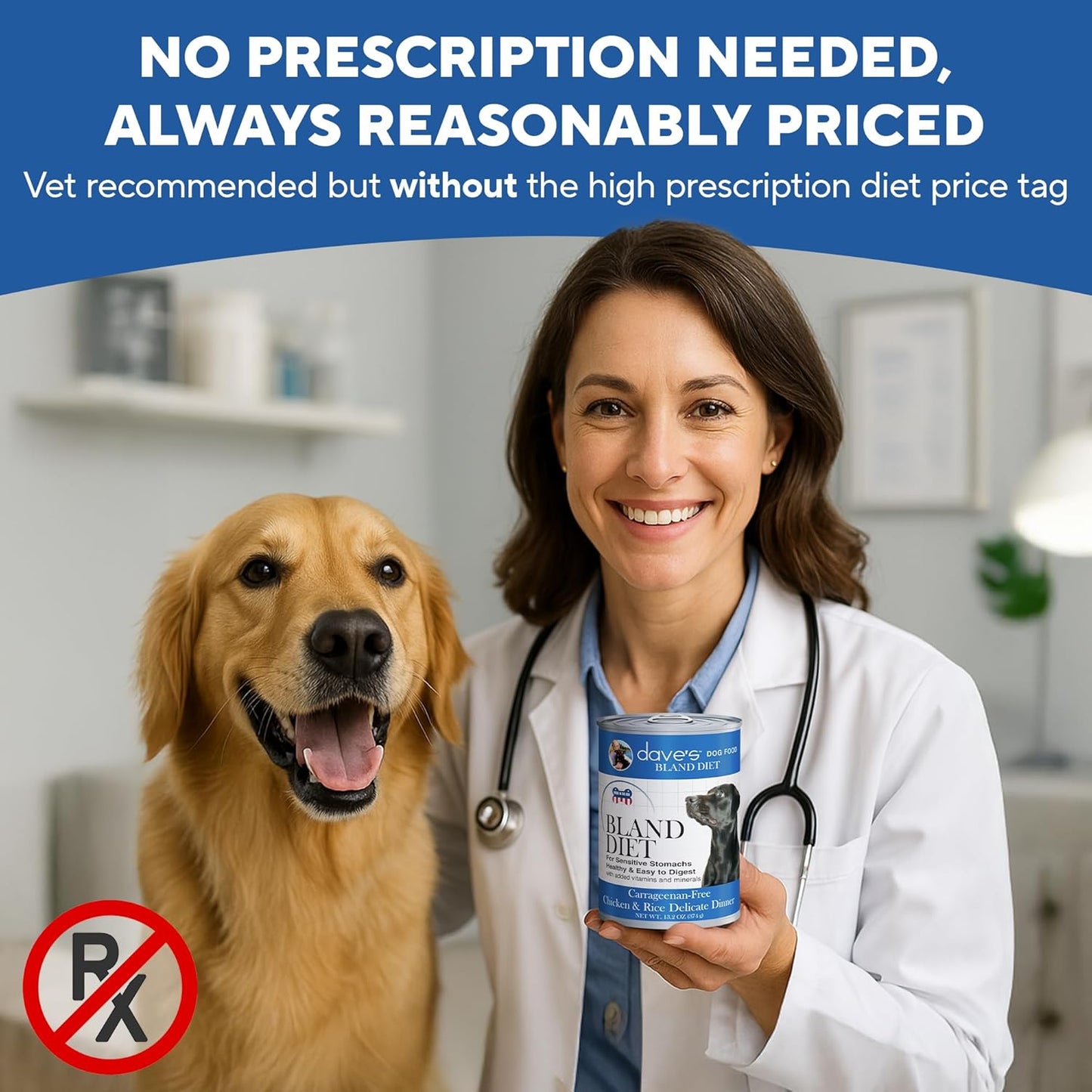 Dave's Pet Food Bland Diet Dog Food (Chicken & Rice), Sensitive Stomach, Easy to Digest, Gluten-Free, Digestive Care, Wet Canned, 13.2 oz (Case of 12)