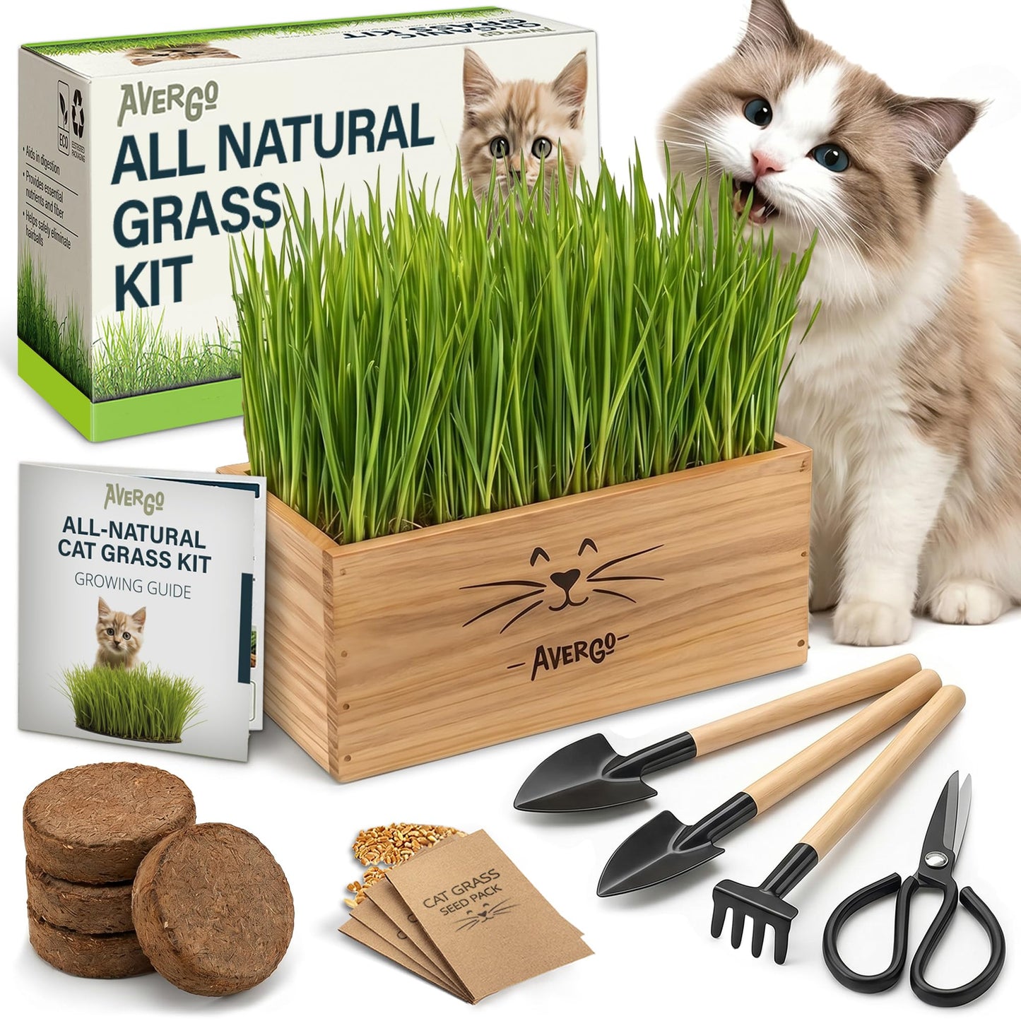 Cat Grass Kit for Indoor Cats. Chosen for real quality, fits naturally into modern pet homes.