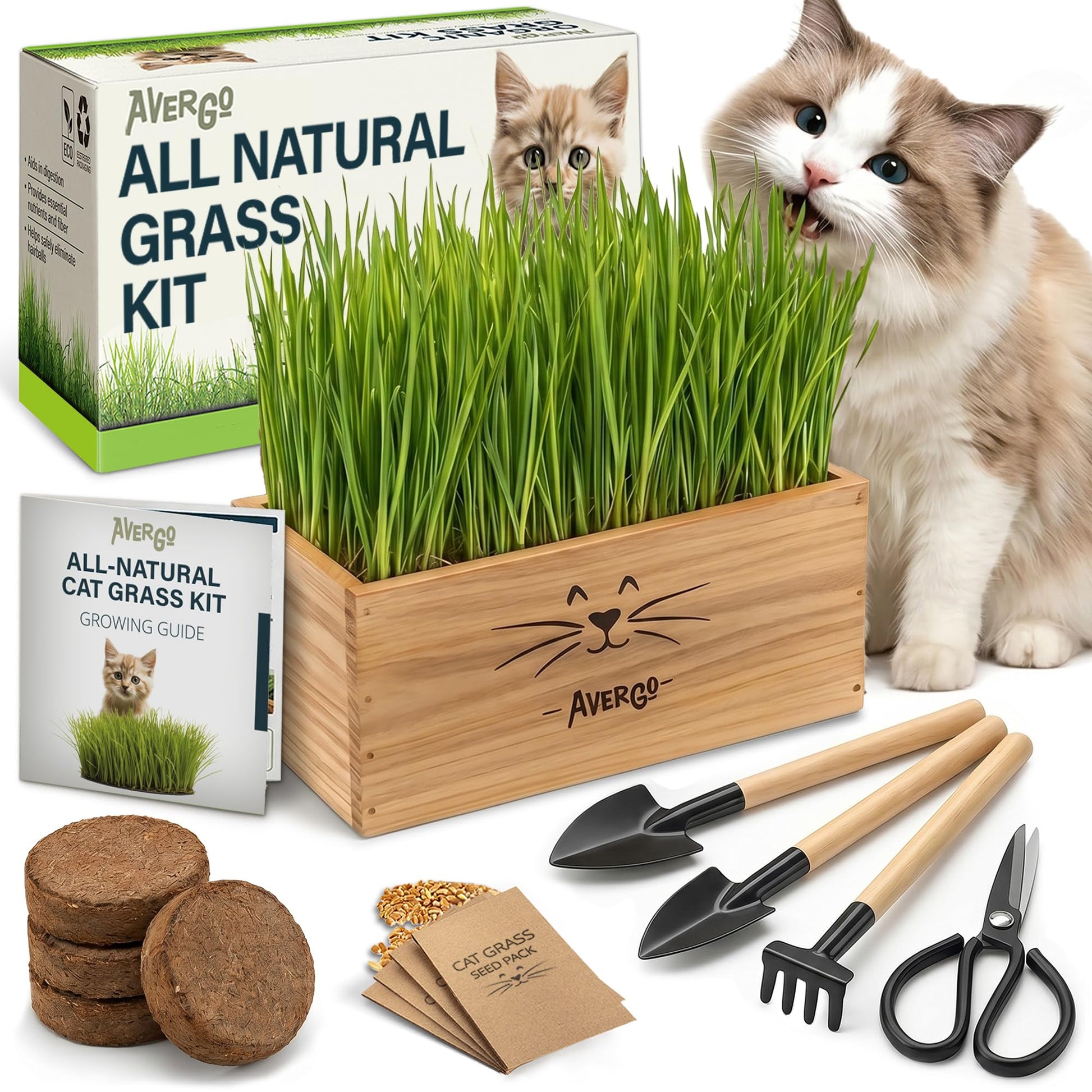 Cat Grass Kit for Indoor Cats. Chosen for real quality, fits naturally into modern pet homes.