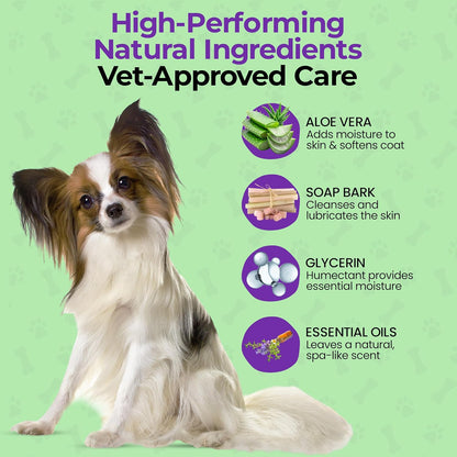 Luxury Daily Dog Deodorant & Grooming Spray – Long-Lasting, Odor Eliminating Pet Deodorizer Spray for Dogs’ Coat & Skin – Gentle & Clean, Irresistible Fresh Spa Scent 5.07 Fl oz.