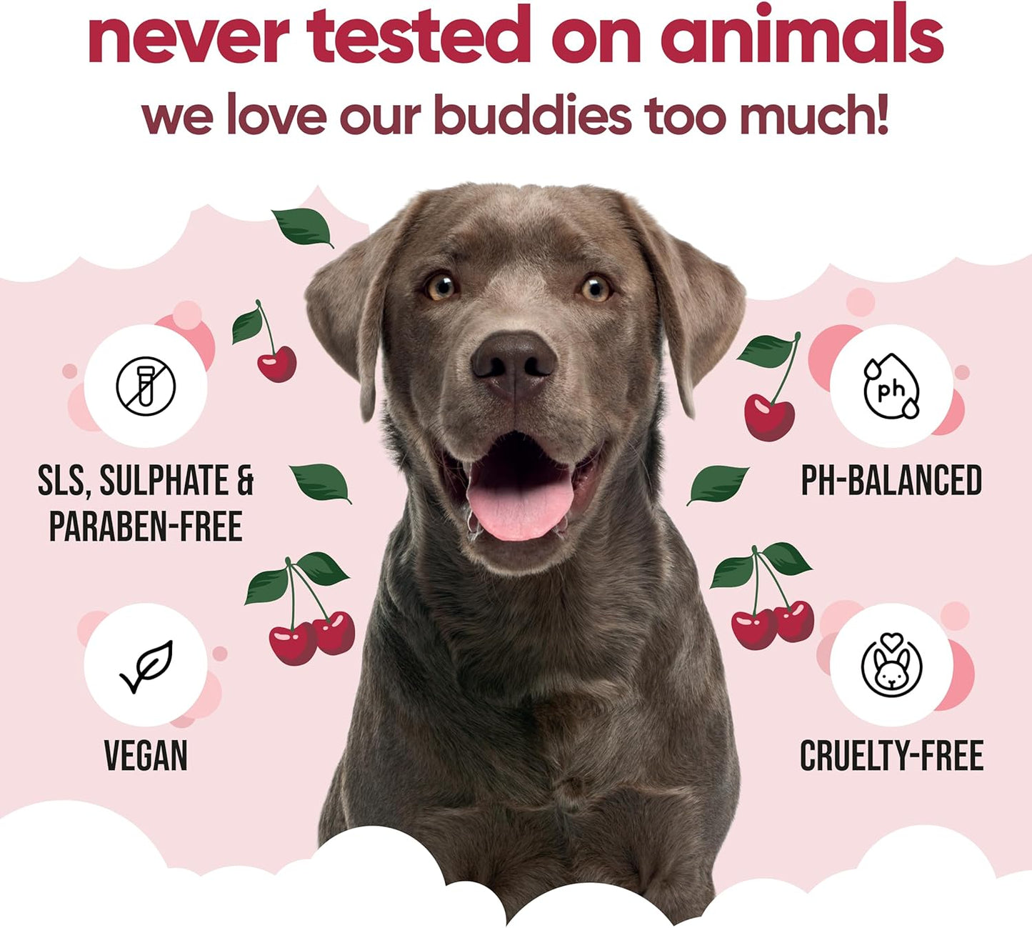 Black Cherry Dog Shampoo by Buddycare | Dry Skin & Itchy Skin Relief for Smelly Dogs | Deep Cleansing for Dogs Puppy Sensitive Skin | Dog Shampoo & Conditioner | with Aloe & Vitamin B5 (16.90oz)