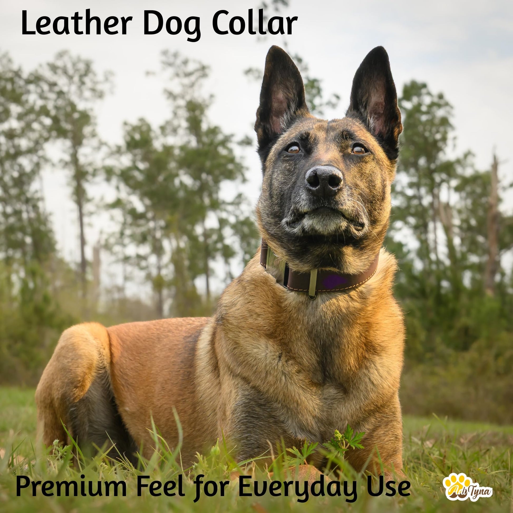 ADITYNA Leather Dog Collar for Medium & Large Dogs. Chosen for real quality, fits naturally into