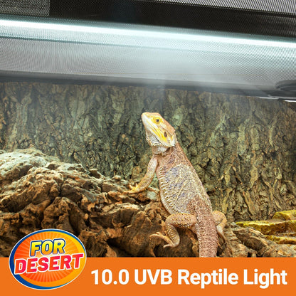 Oiibo T5 HO Reptile Light Fixture UVB Lighting Combo Kit, Terrarium Lamp Hood Light with UVB 10.0 for Bearded Dragon, Gecko, Lizard (39W)