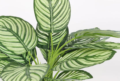 Reptile Terrarium Plants, Bearded Dragon Tank Decor Accessories for Ball Python Leopard Gecko Tree Frog Tarantula Lizard Corn Snake Tortoise Chameleon Crested Gecko - Fake Goeppertia White