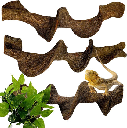BNOSDM 3Pcs Reptile Climbing Branches Decor,Snake Climbing Branch,Gecko Climb Wood,Lizard Forest Branch,Tank Habitat Tree Trunk Decorations for Bearded Dragons,Chameleons,Spider,Frogs (L)