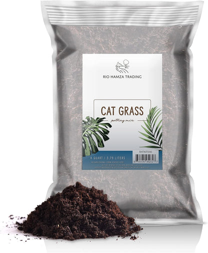 Cat Grass Growing Soil (4 Quarts), Soil for Starting and Growing Cat Grass, Loose Coconut Coir for Growing Cat Grass