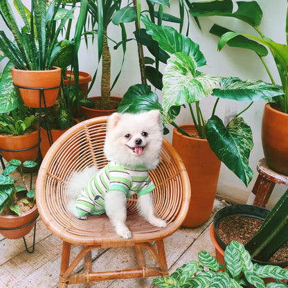 TONY HOBY Dog Pajamas, Male Dog Jumpsuit with Green Stripe, Dogs Clothes for Small Medium Size Dogs (Green&White, Boy, M)
